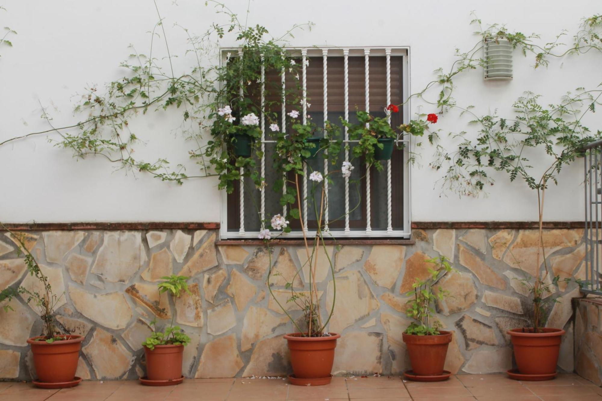 Casa Secreta Velez-Malaga Centro Daire Dış mekan fotoğraf