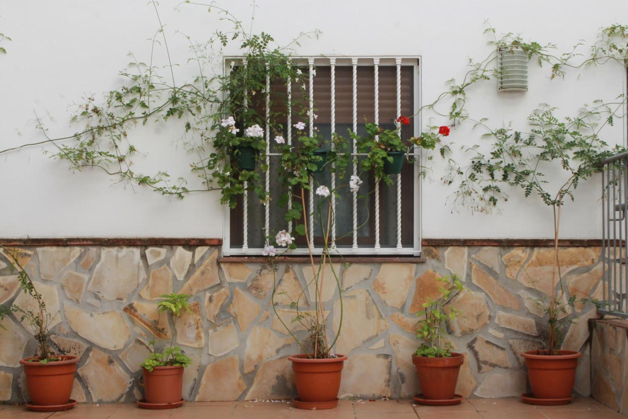 Casa Secreta Velez-Malaga Centro Daire Dış mekan fotoğraf